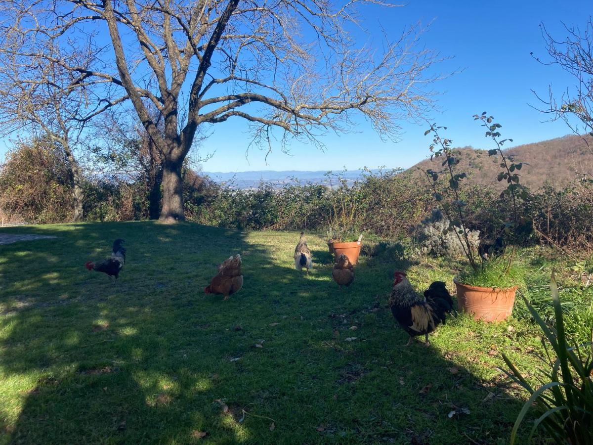 מונטה קטיני ואל די צ'צ'ינה Agriturismo Palareta מראה חיצוני תמונה